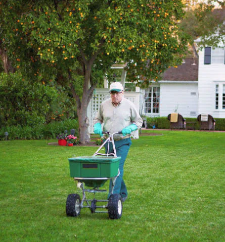 Lawn care service